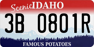 ID license plate 3B0801R