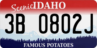 ID license plate 3B0802J
