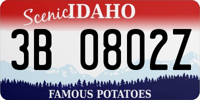 ID license plate 3B0802Z