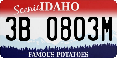 ID license plate 3B0803M