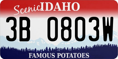 ID license plate 3B0803W