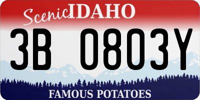 ID license plate 3B0803Y
