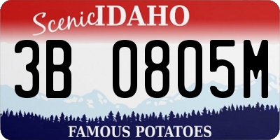 ID license plate 3B0805M