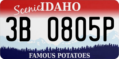 ID license plate 3B0805P