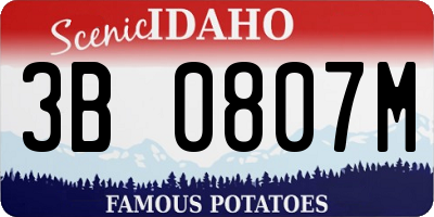ID license plate 3B0807M