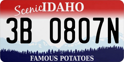 ID license plate 3B0807N