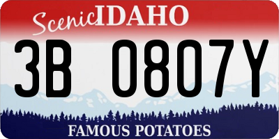 ID license plate 3B0807Y