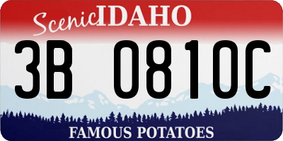 ID license plate 3B0810C