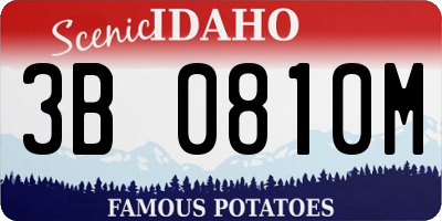 ID license plate 3B0810M