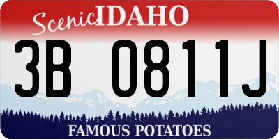 ID license plate 3B0811J