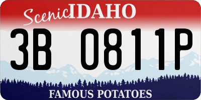 ID license plate 3B0811P
