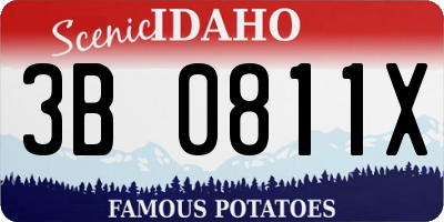 ID license plate 3B0811X