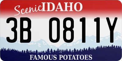 ID license plate 3B0811Y