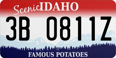 ID license plate 3B0811Z