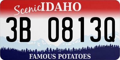 ID license plate 3B0813Q
