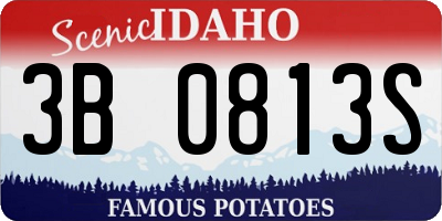 ID license plate 3B0813S
