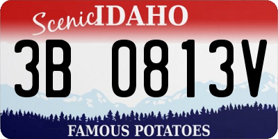 ID license plate 3B0813V