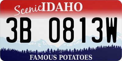 ID license plate 3B0813W