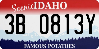 ID license plate 3B0813Y