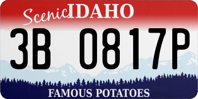 ID license plate 3B0817P