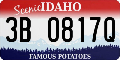 ID license plate 3B0817Q