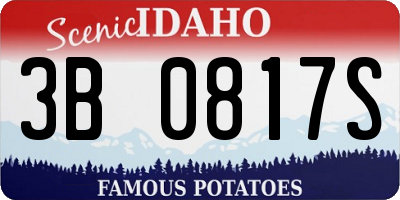 ID license plate 3B0817S