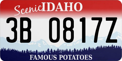 ID license plate 3B0817Z