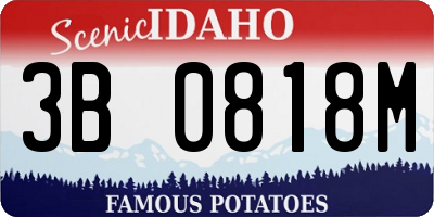 ID license plate 3B0818M