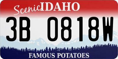 ID license plate 3B0818W