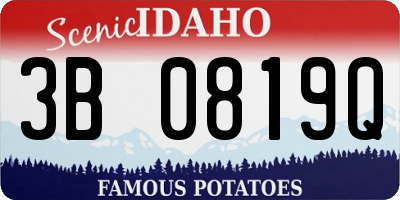 ID license plate 3B0819Q