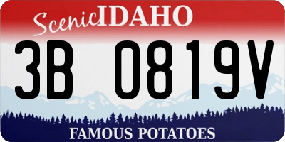 ID license plate 3B0819V