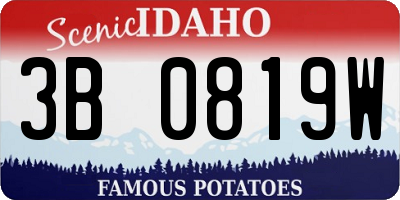 ID license plate 3B0819W