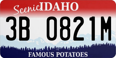 ID license plate 3B0821M