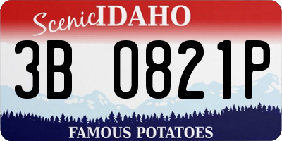 ID license plate 3B0821P