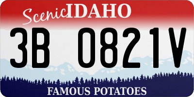 ID license plate 3B0821V