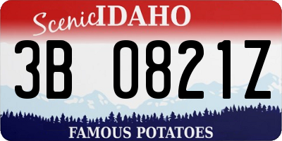 ID license plate 3B0821Z