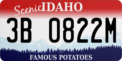 ID license plate 3B0822M