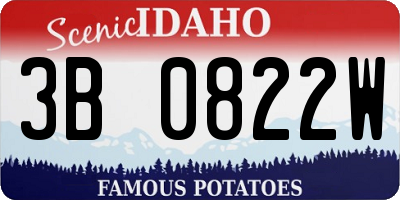 ID license plate 3B0822W