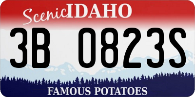 ID license plate 3B0823S