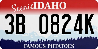 ID license plate 3B0824K