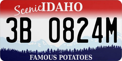 ID license plate 3B0824M