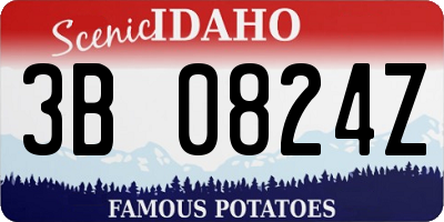 ID license plate 3B0824Z