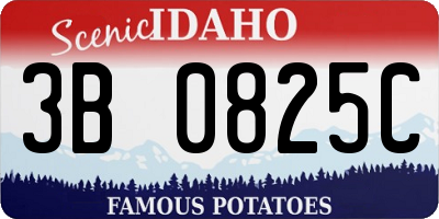 ID license plate 3B0825C