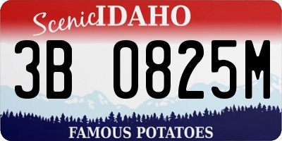 ID license plate 3B0825M