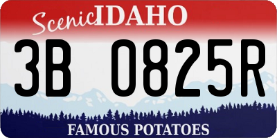 ID license plate 3B0825R