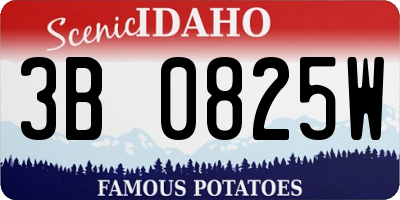 ID license plate 3B0825W