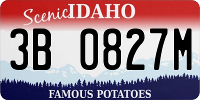 ID license plate 3B0827M