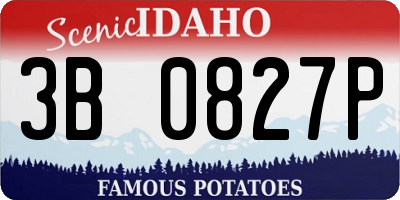 ID license plate 3B0827P