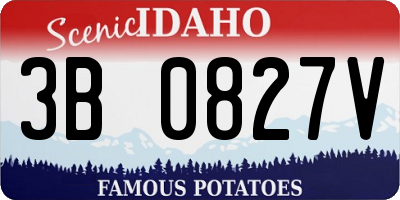 ID license plate 3B0827V