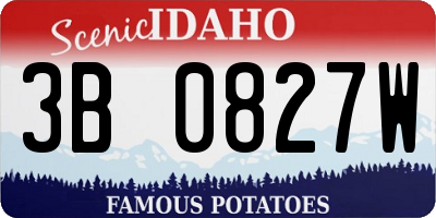 ID license plate 3B0827W